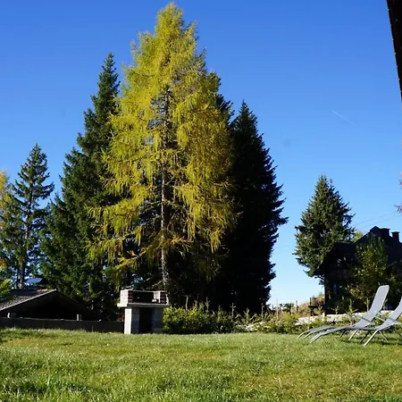 Gerlitzen-hütte * Treffen